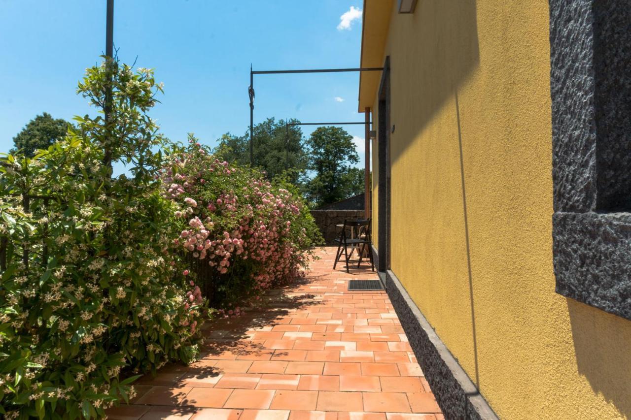 SantʼAlfio Viola Nel Parcoヴィラ エクステリア 写真