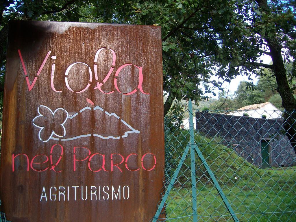 SantʼAlfio Viola Nel Parcoヴィラ エクステリア 写真