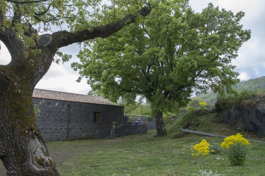 SantʼAlfio Viola Nel Parcoヴィラ エクステリア 写真