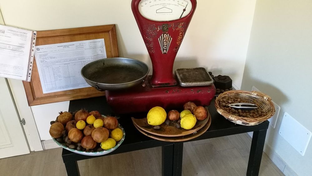 SantʼAlfio Viola Nel Parcoヴィラ エクステリア 写真
