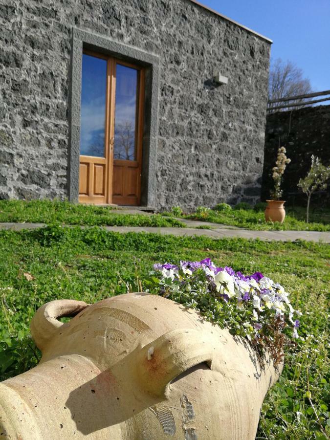SantʼAlfio Viola Nel Parcoヴィラ エクステリア 写真