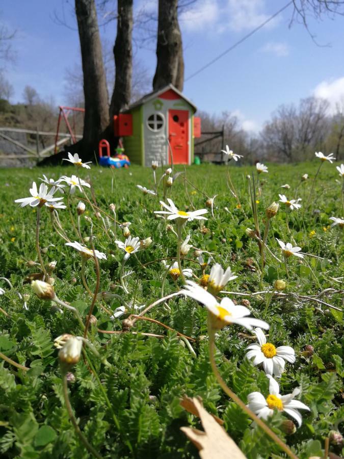 SantʼAlfio Viola Nel Parcoヴィラ エクステリア 写真